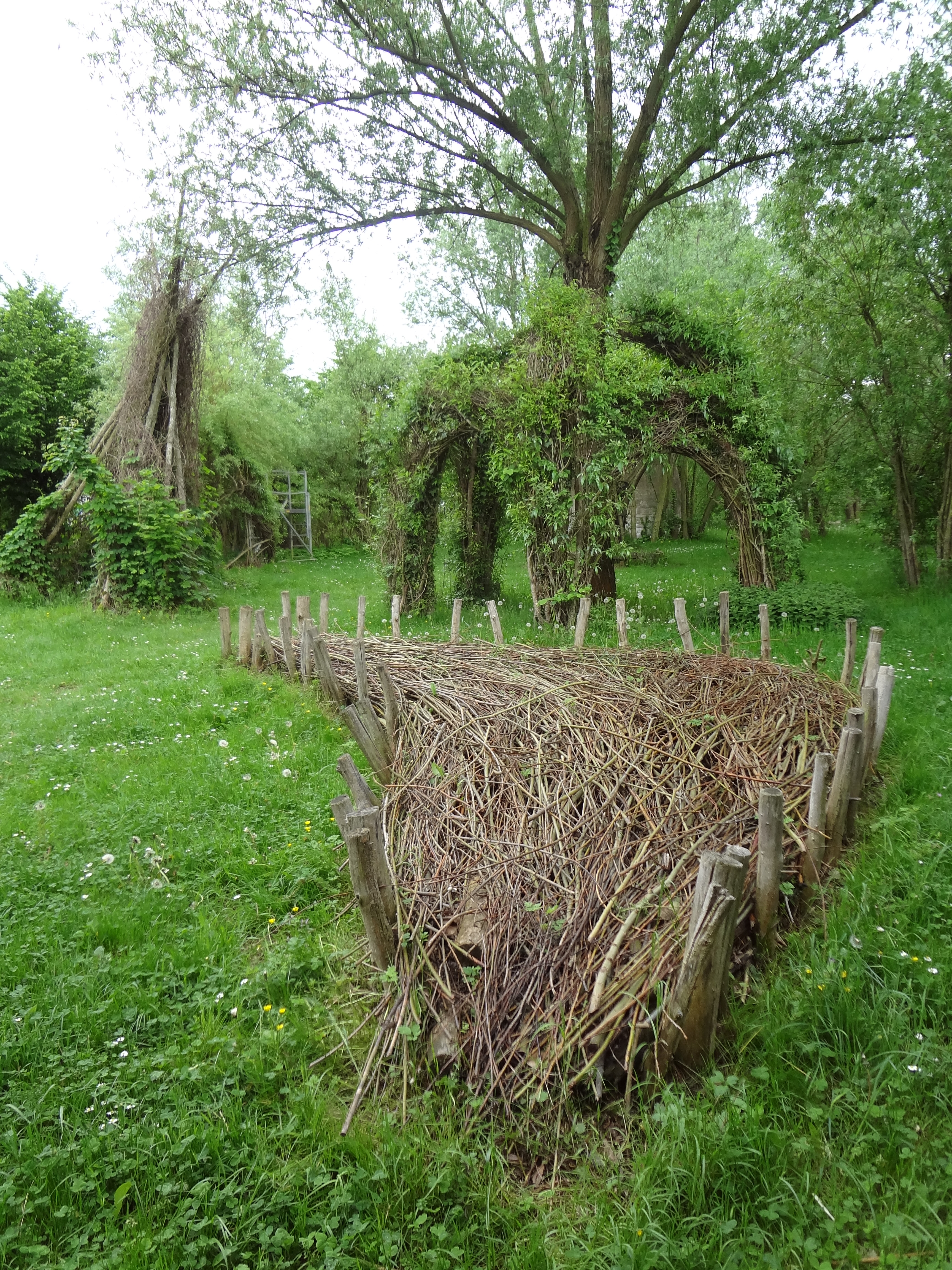 DSC01925 Claudia Feldhaus