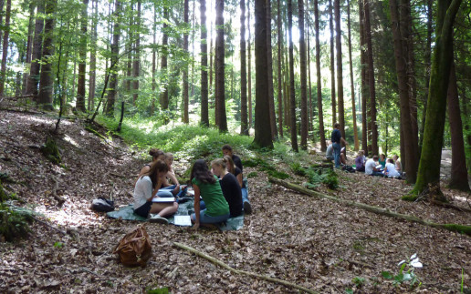 TatortWald WilaBonn 2014 a