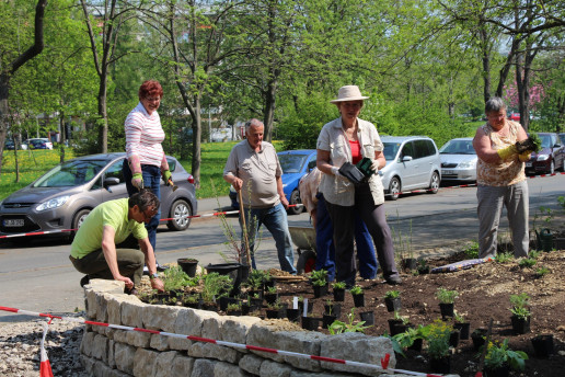 Gemeinsam naturnah gärtnern. Das Bild zeigt eine Gruppe von sechs Menschen, die gemeinsam naturnah gärtnern. Foto: (c) WILA Bonn