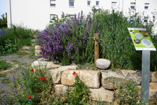 Foto: © Hille-Jacobi