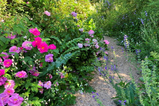 Foto: WILA Bonn / AML