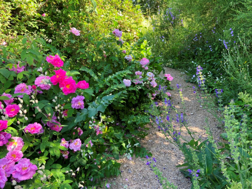 Foto: WILA Bonn / AML