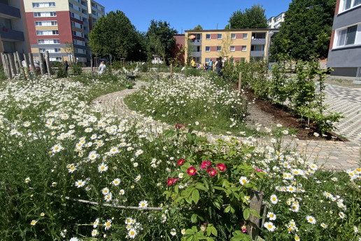 Flaeche Dortmund bessere Aufloesung Copyright WILA Bonn