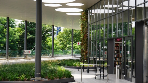 Schon kleinere begrünte Flächen können Unternehmen klimaresilienter machen. Foto: © WILA Bonn