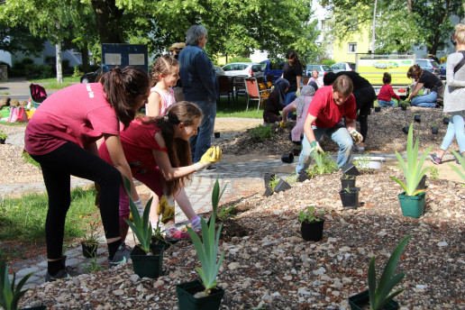 Gemeinsame Pflanzaktion im PikoPark Bonn. Auf dem Bild sind Kinder im Vordergrund zu sehen, die gemeinsam den PikoPark bepflanzen. Foto: (c) WILA Bonn