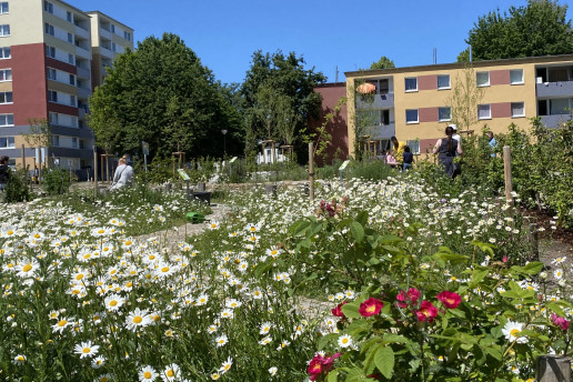 In PikoParks treffen sich Mensch und Natur. Das Foto zeigt den PikoPark in Dortmund mit einer großen Wildblumenwiese, einem Weg und Menschen, die den Park pflegen und genießen.Foto: (c) WILA Bonn
