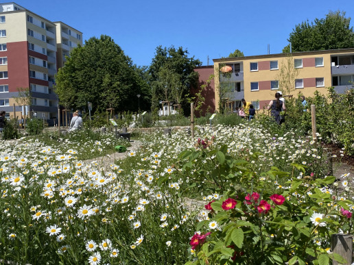 In PikoParks treffen sich Mensch und Natur. Das Foto zeigt den PikoPark in Dortmund mit einer gro&szlig;en Wildblumenwiese, einem Weg und Menschen, die den Park pflegen und genie&szlig;en.Foto: (c) WILA Bonn