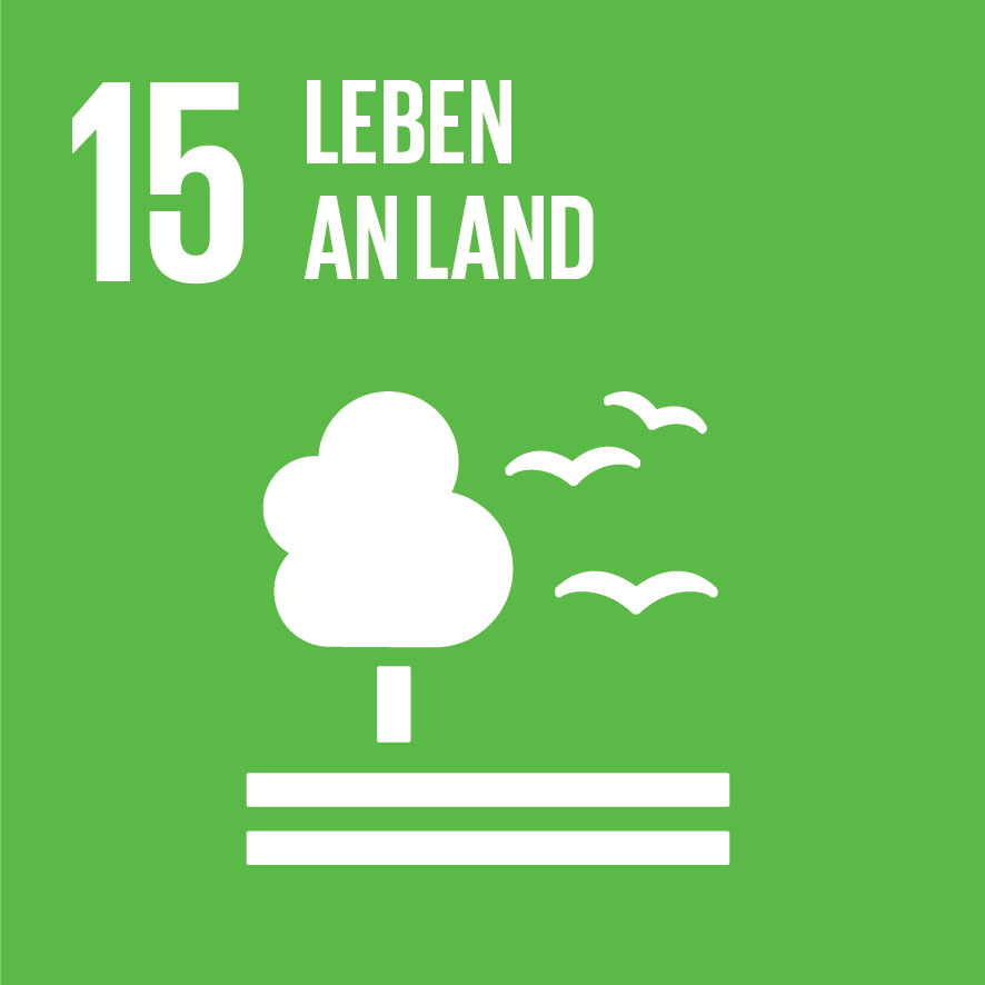 SDG Icon für SDG 15 Leben an Land